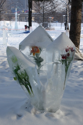Вьюговей-2010, ледяные скульптуры: Цветы во льдах